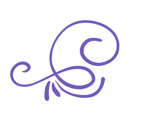 Obraz premium Calligraphy Flourishes elegant text divider for invitations