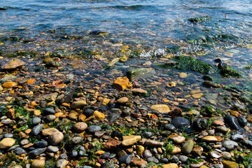 pebbles at the beach
