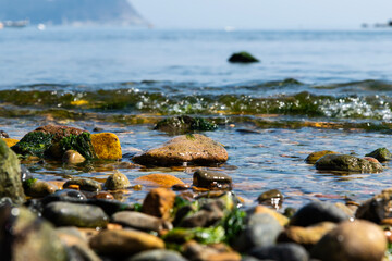 wave on the pebble beach