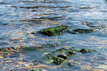 wave on the pebble beach