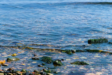 wave on the pebble beach
