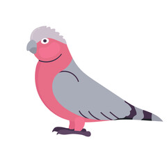 Galah icon clipart avatar logotype isolated illustration
