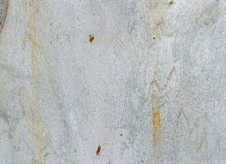 Eucalyptus tree bark texture, Bark of eucalyptus tree, seamless texture, a eucalyptus tree bark texture background image