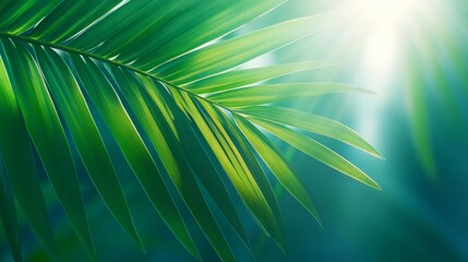 Green Leaves with Sunlight Shining Through the Branches