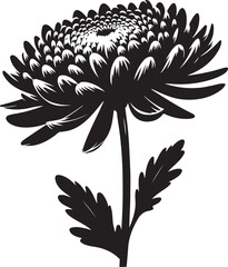 Chrysanthemum Flower Silhouette Vector for Clean and Elegant Designs