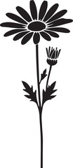 Beautiful Daisy Silhouette Vector Art on White Background