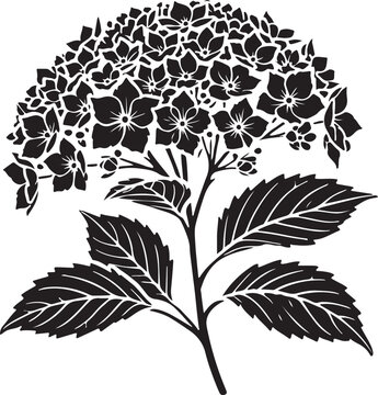 black hydrangea flower silhouette design clip art preview