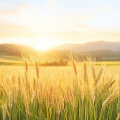 Naklejka premium Serene Wheat Field Swaying Gently in the Golden Evening Breeze