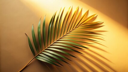 Obraz premium Golden Hour Palm Frond Shadow on Warm Background, a Serene Botanical Image Perfect for Relaxation and Wellness Designs