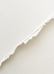 Close-up of textured white paper with torn edge.