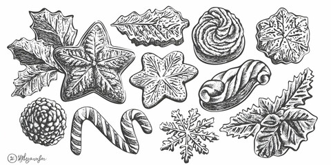 Christmas Cookie Illustration: Star, Holly, Candy Cane