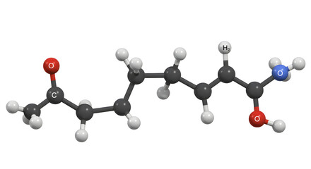 Molecular Structure of Leucine Scientific Model on White Background