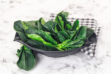 Ripe green spinach leaves heap