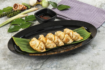 Japanese cuisine - stuffed dumplings gyoza