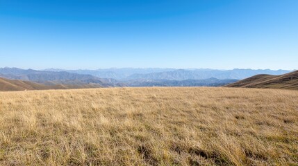 Mountain Meadow Landscape - Sunny Day - Wide Open View