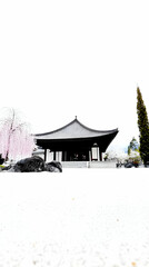 Serene Asian Temple Illustration