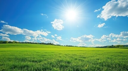 Obraz premium A picturesque sunny summer countryside featuring lush green fields and a vibrant blue sky.