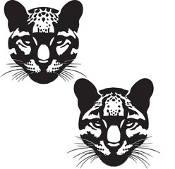 set of Clouded Leopard face poses,Clouded leopard face silhouette, clouded leopard head vector, black and white leopard face, leopard face poses set, leopard head illustration