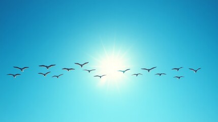Seagulls in silhouette against a vibrant blue sky, illuminated by a radiant sun, representing freedom and tranquility