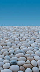Obraz premium White Stones Abstract Background Image