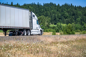 Long haul white big rig semi truck transporting cargo in dry van semi trailer running on the narrow road between meadows with dried grass and wild flowers
