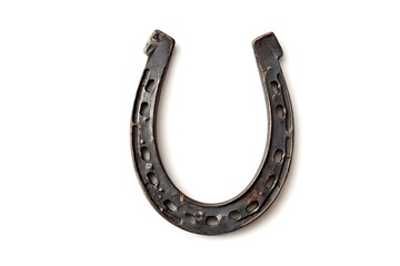 A metal horseshoe with a black and silver design