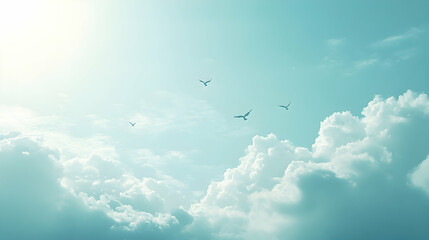 Cloudy Sky with Birds Soaring