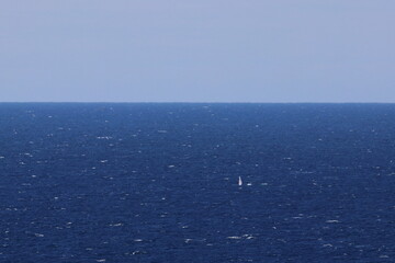 Obraz premium humpback whale