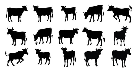 Set of Cow Black Silhouette Icons.  Isolated on White Background, Farm Animal Vector.
