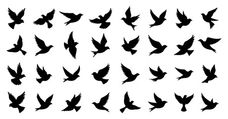 A Set of Flying Birds Black Silhouettes icons. Isolated on White Background, Farm Animal Vector.