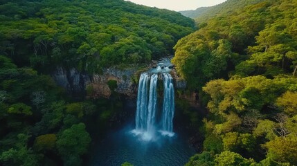 Fototapeta premium Majestic Waterfall Cascading Through Lush Green Forest