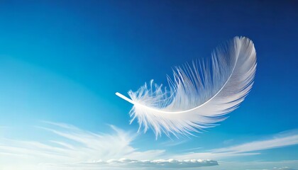 white feathers on blue background