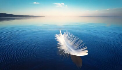 white feathers on blue background