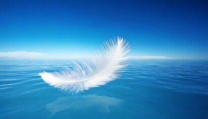white feathers on blue background