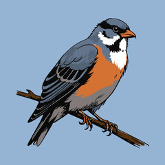 Colorful Perching Bird Vector