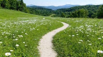 Obraz premium Winding path through a meadow of daisies, scenic mountain vista, peaceful natural landscape