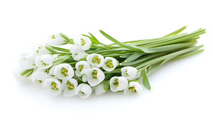 Obraz premium Beautiful snowdrops isolated on white. Spring flowers