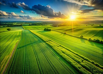 Aerial View of Lush Green Field, Summer Meadow Landscape, Nature Background