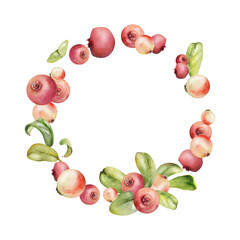 Cranberry lingonberry on branch with green leaves, ripe forest berry wintergreen bearberry teaberry cluster group, watercolor hand drawn. Isolated circle wreath frame. Farmers market, home preserves