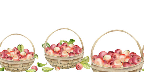 Cranberry lingonberry with leaves in weaved basket, hand drawn in watercolor, scattered ripe picked forest berry harvest. Isolated seamless banner. Restaurant, cafe menu, recipe book, farmers market