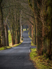winter alley - Winterallee