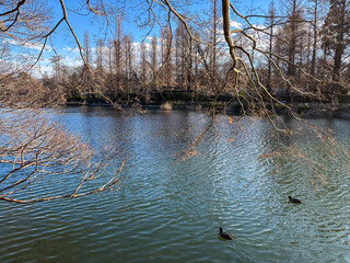 井の頭公園の風景、東京