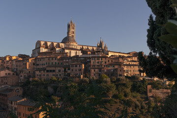 Fototapeta premium Historical center with tiled roofs and medieval cathedral bell tower on golden sunset, Siena, Italy