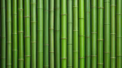 Fototapeta premium Green Bamboo Wall Pattern