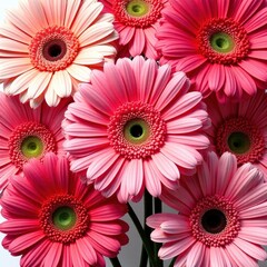 Stunning Gerbera Flower Pattern Background