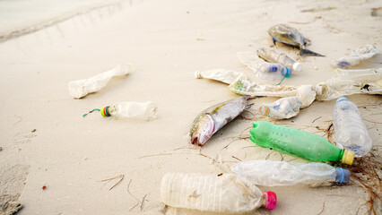 Dead fish on a beach littered with plastic waste, sea life killed by ocean pollution, marine debris 