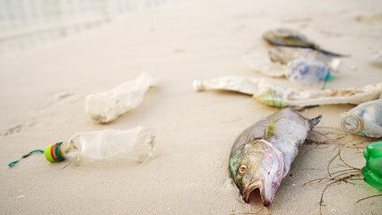 Fish stranded on a beach polluted by plastic bottles highlighting marine pollution crisis in our oceans and shores