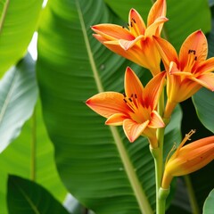 Unique arrangement of banana flowers in shades of orange and yellow against lush green leaves, orange, unique