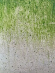 Close up of large stone planter with green algae