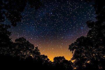 Naklejka premium Star-studded night sky with warm hues on the horizon, silhouetted trees framing the scene, creating a tranquil and mesmerizing view, capturing the mystery and wonder of the cosmos.
